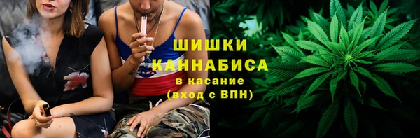 стафф Богородицк