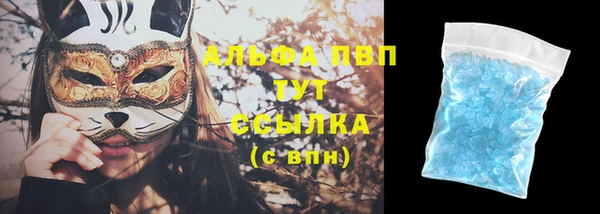 стафф Богородицк