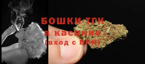 стафф Богородицк