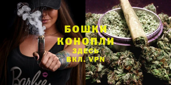 стафф Богородицк