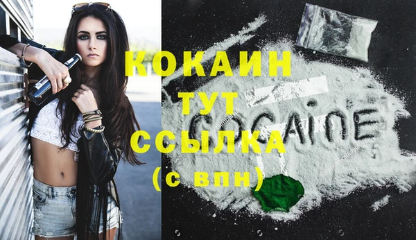 стафф Богородицк