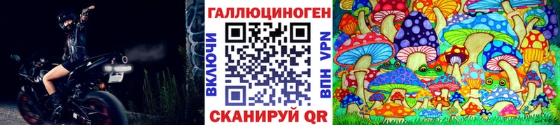 как найти   Шарыпово  Галлюциногенные грибы Psilocybine cubensis 